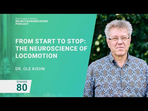 Podcast Ep. 80 - Neuroscience of Locomotion | Ole Kiehn