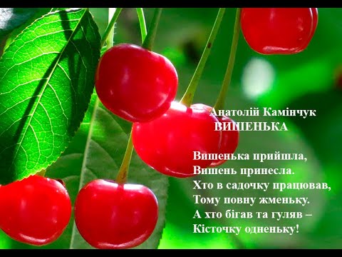 Анатолій Камінчук.  Вишенька. Вчимо вірш он-лайн з дітьми