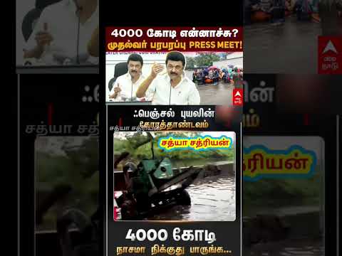 4000 கோடி நாசமா நிக்குது பாருங்க... திராவிட மாடல் ஆட்சி..#pmk #anbumani #mkstalin #chennai #cyclone