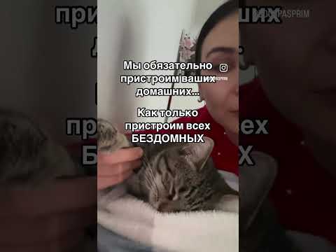 НАША БОЛЬШАЯ МЕЧТА, ЧТОБЫ ВСЕ ЖИВОТНЫЕ ЖИЛИ ТАМ, ГДЕ ИХ ЛЮБЯТ И ГДЕ ОНИ НУЖНЫ!!!!