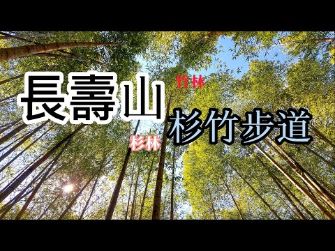 【長壽山】山如其名，香杉林、柳杉林、竹林密境、林間悠遊美景，吸收芬多精，能不長壽嗎?更適合親子，三五好友結伴同遊，泡茶、野餐一起享受美好午後時光。