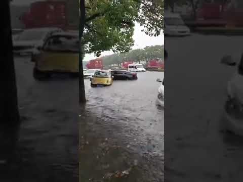 中国の梅雨時期の風物詩