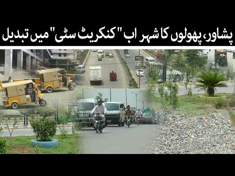 Peshawar's Lost Charm | The Concrete Takeover | Climate Change | TaarMedia | @TaarMedia