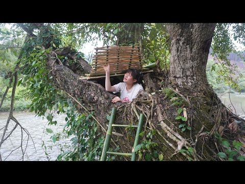 Buiding survival shelter shelter in the tree, Bushcraft hut - LIVING OFF GRID, Camping Wild