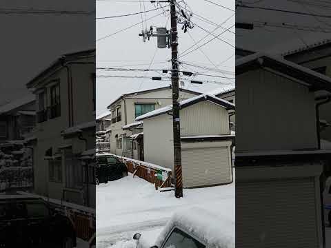 アパートの前 綿雪 #雪降り #雪国 #風景