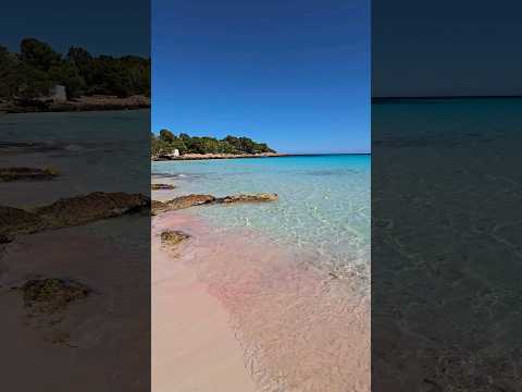 Cala Agulla 🩵🩷 Cala Ratjada 🩵 Mallorca 🏝 #mallorca #travel #majorca #beach