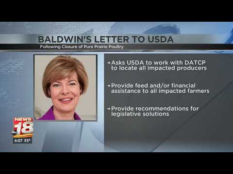 WQOW: Sen. Baldwin Pushes USDA to Assist Farmers Impacted by Pure Prairie Poultry Closure