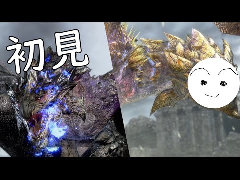 Gold Rathian & Silver Rathalos SnS First Attempt | MHRS PC