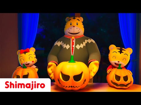 Spooky pumpkins with Shimajiro! | Halloween Special Compilation | Kids songs & Nursery Rhymes