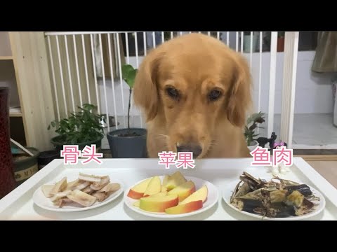 狗子:小孩子才做选择，我都要