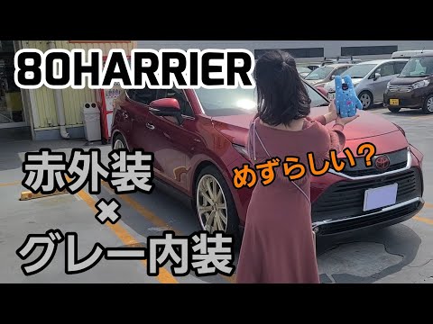 80HARRIER　真っ赤なカスタムしたハリアー乗りの女の子