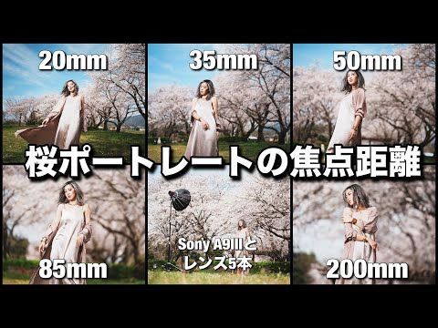 Sony A9IIIで桜ポートレート撮影！広角ポートレートからの200mmまでのレンズの使い方！ストロボ１灯を使った日中シンクロ人物撮影！Sigma レンズ5本使用！