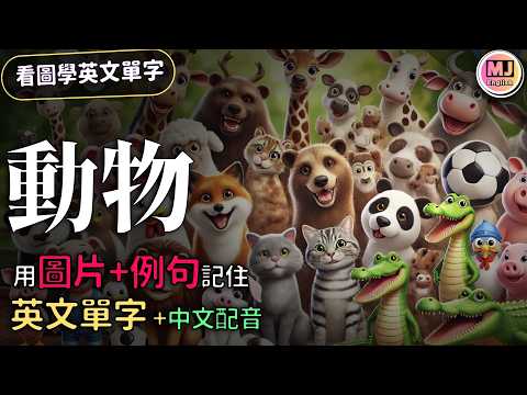 【看圖學單字】動物篇: 圖片例句輕鬆學會動物英文單字 | Ep.174