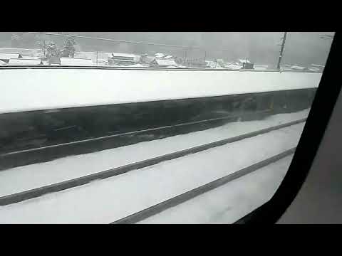 【大雪警報！しらさぎの車窓から！】ノブちゃん車窓