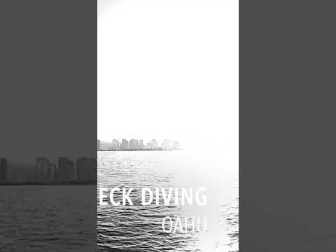 【ハワイ沈船ダイビング】Wreck Diving in Hawaii #Shorts