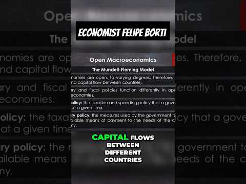 Understanding Trade and Policies in an Open Economy #economics #macroeconomics #economist