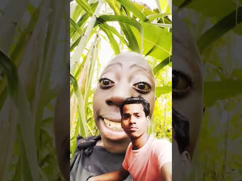 #comedy #tiki #kiki dekhiae is samay viral ke top per chal raha hai video pura dekhega #fun #video