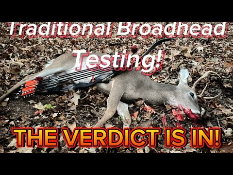 Traditional Broadhead Testing / The Verdict Is In! Public Land Recurve Hunt With Final Results!