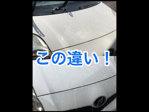 この違い！！エマルジョンコーティング　ヴィッツ -１-