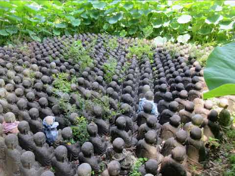 ＜観音・式内シリーズ31の特5撰 5＞大水上神社・威徳寺・地蔵寺・柞原寺