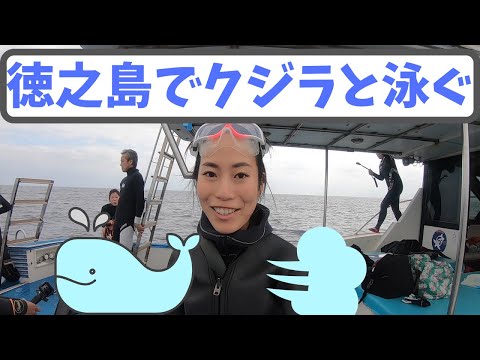 徳之島でホエールスイムしてきたVLOG