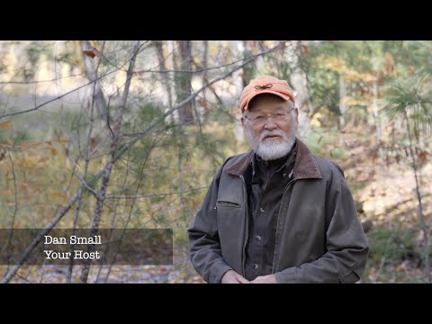 Deer Hunt Wisconsin 2023 | Dan Small Productions