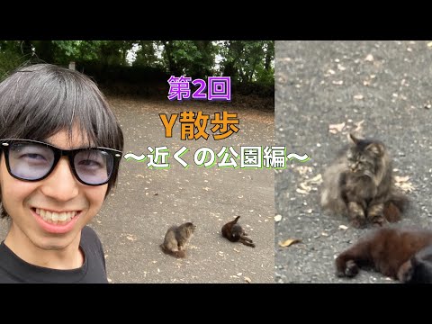 (第2回)Y散歩‼️今回は、癒しあり、トークありの散歩となっています！食べ歩きもしました！