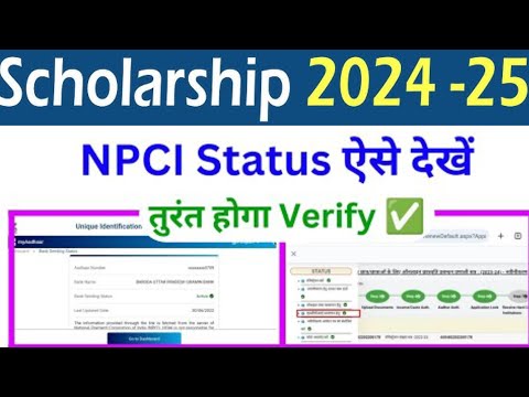 Scholarship npci problem solved kare 2024-25 | npci kaise link kare | bank se npci link kaise kare