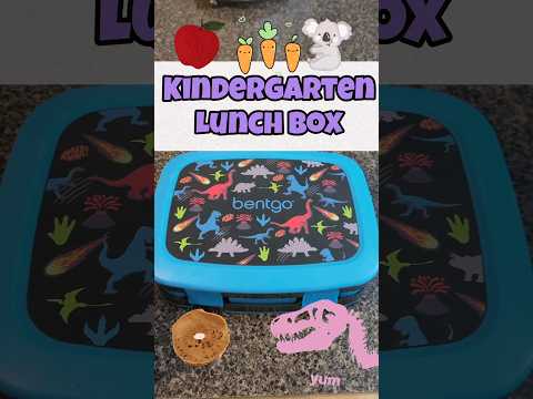 Lunch Box | Kindergarten #shorts #schoollunchbox