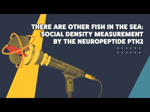 There Are Other Fish in the Sea: Social Density Measurement by the Neuropeptide Pth2