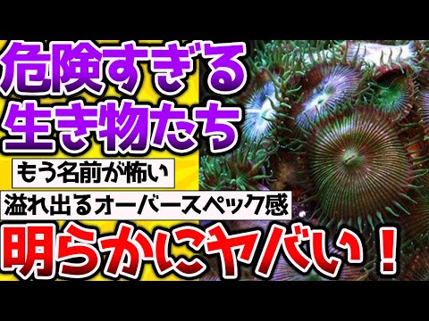 【2ch動物スレ】触れただけで死ぬ危険生物たち、見た目からしてやばすぎる→名前もヤバすぎるｗ #生き物 #2ch