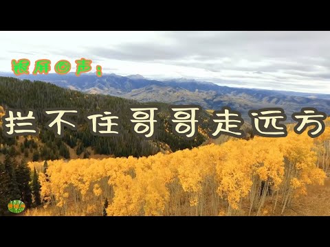 拦不住哥哥走远方 - 银屏回声。电视剧《大商道》插曲