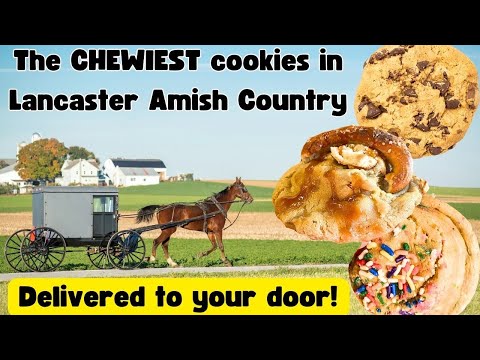 Taylor Chip Cookies in Lancaster Amish Country - Review & Info #lancasterpa #foodie #cookies