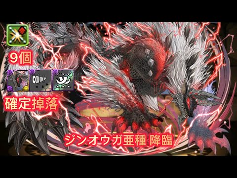 『ジンオウガ亜種 降臨！ 部位破壞』周回編成 【パズドラ】【Puzzle & Dragons】