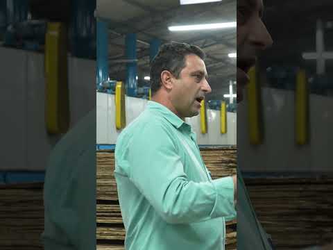 Innovating Plywood Quality with Telemetry Tech | MPW Factory Visit