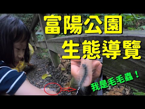 台北市富陽生態公園戶外導覽--好像龍貓的秘境--2訪台灣昆蟲館【欣的旅遊】