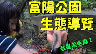 台北市富陽生態公園戶外導覽--好像龍貓的秘境--2訪台灣昆蟲館【欣的旅遊】