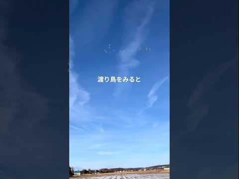 美しい北海道の景色/函館