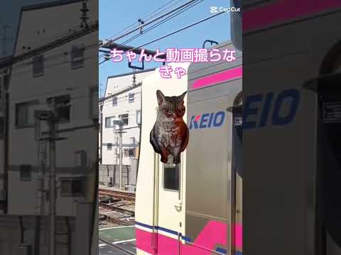 猫ミーム生活②京王未更新車8000系