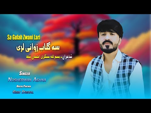 Nosherwan Ashna Pashto new Songs 2023 | Sa Gulab Zwani Lari