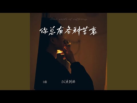 你总有各种苦衷 (Dj版)