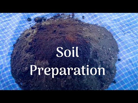 How To Prepare Soil For Vegetable Gardening //Organic Gardening