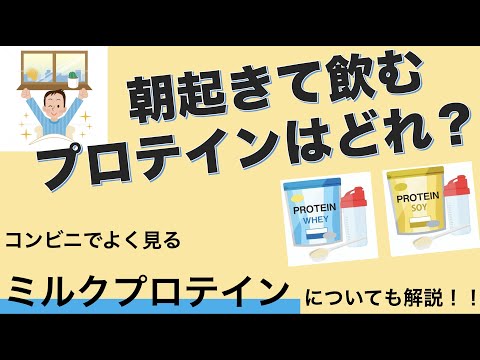 朝起きたら◯◯◯プロテイン⁉︎もっと知りたいプロテイン 後編