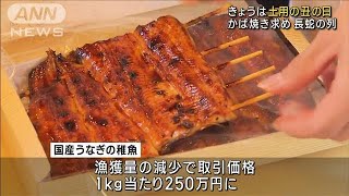 きょうは土用の丑の日　かば焼き求め長蛇の列(2023年7月30日)