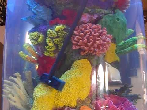 Cylinder Aquariums second Service, LA Fishguys, Episode Fourteen