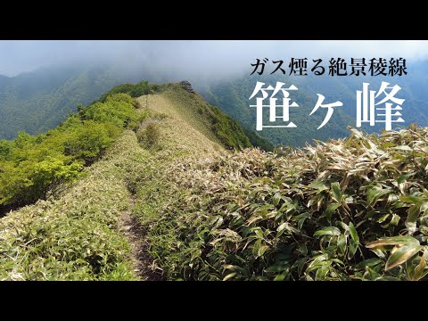 【絶景稜線】寒風山〜笹ヶ峰 ガスでもここはきれいでした