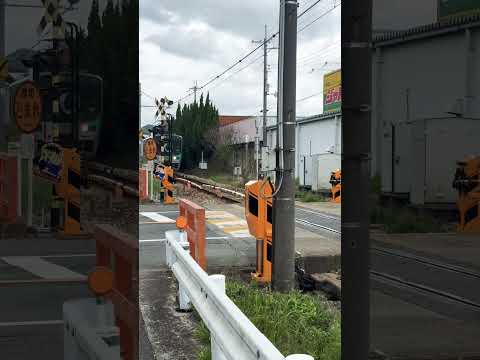 Railway crossing in Japan 🚃 #shorts