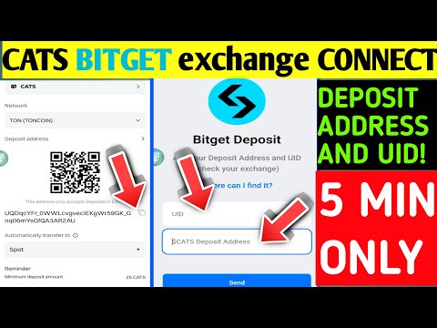 Cats Airdrop withdraw bitget cats Deposit address &UID|Cats bitget wallet connect Kaisa karen