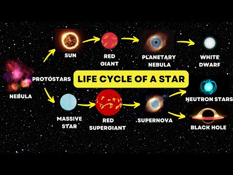 The Stages of the Life Cycle of a Star