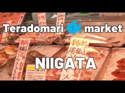 Teradomari 🐟 market  NIIGATA　#寺泊　#teradomari #fishmarket